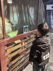 -酷嗒动物文化乐园(cutezoo西溪乐天城店)