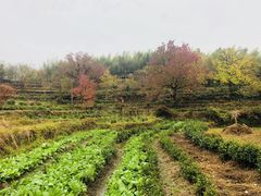 -塔川景区