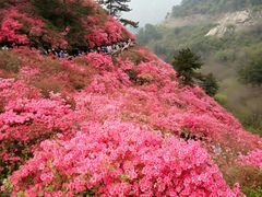-木兰云雾山