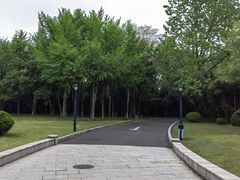 -春兰国宾馆(凤城河风景区老街店)