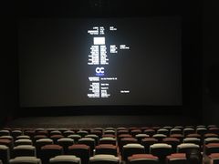 -星河寰宇IMAX影城(星河WORLD·COCO Park店)