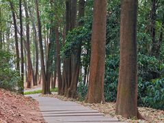 -广州市白云山风景名胜区