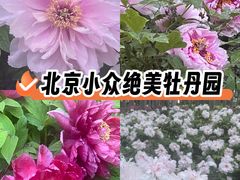 -仁和公园(顺义区)