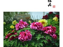 -天津水上公园