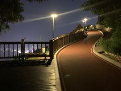 -星海湾跨海大桥