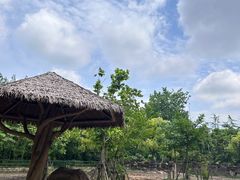 -上海野生动物园