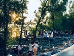 -宝安西湾红树林湿地公园