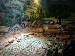 -海南槟榔谷黎苗文化旅游区