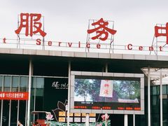 -滕州微山湖红荷湿地景区