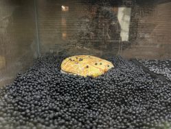 -Zoolung Zoolung动物主题公园(海信广场店)