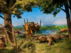 -国家自然博物馆