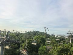 -圣淘沙天际线斜坡滑车