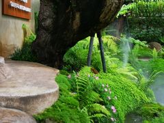 -Chom Cafe and Restaurant