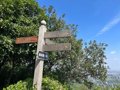 -杭州半山国家森林公园