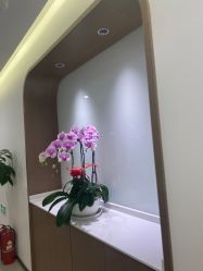 -丰联丽格医疗美容·联合丽格眼整形中心