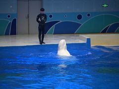 -石家庄极地海洋世界