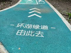 -重庆彩云湖湿地公园