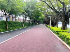 -南宁南湖公园