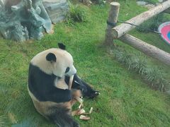 -大连森林动物园