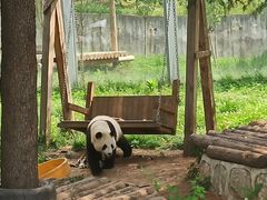-西安秦岭野生动物园