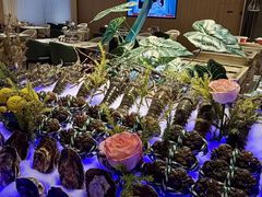 -麓湖国际水疗