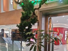-桂满陇·蟹黄小笼汤包(中山公园店)
