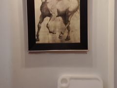-颐和•海鲜砂锅粥•啫啫煲(奥林匹克广场店)