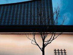-青果巷历史文化街区