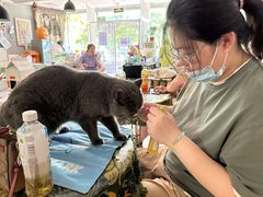 -平行世界·猫咖(首经贸店)