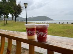 -南澳岛打卡果汁冰公司
