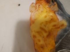 -菊上料理(蜀山银泰百货店)