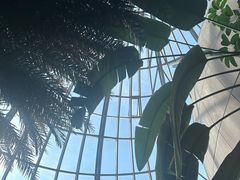 -郑州植物园