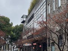 -苏州本色美术馆