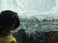-南昌海洋公园