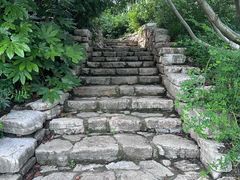 -青枫公园