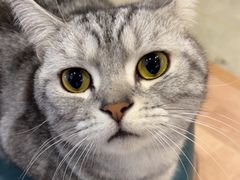 -和它·交个朋友·狗咖猫咖(爱琴海店)