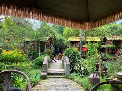 -青城甲(青城山店)