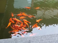 -浙江西湖美术馆