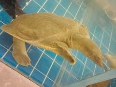 -新丁香海鲜酒店(银海商贸城店)