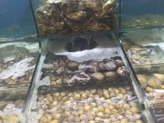 -金太阳海鲜烧烤·本地人餐厅(东纬路旗舰店)