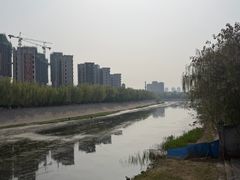 -桃花堤公园