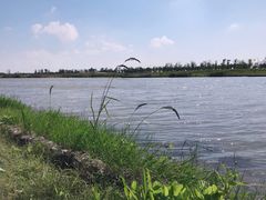 -春花秋色城市公园