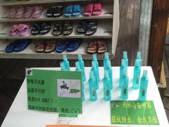 -呀诺达热带雨林