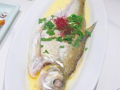 清蒸太湖野生大白鱼-梅飞酒家(名辉豪庭店)