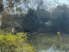 -杭州半山国家森林公园