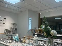 -大视家眼镜(园区星海店)