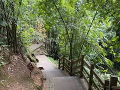 -凤栖山