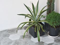 -研途咖啡馆(健康路店)