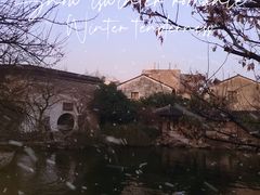 -艺圃