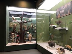 -国家自然博物馆